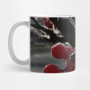 Frosty Mountain Ash Berries Mug